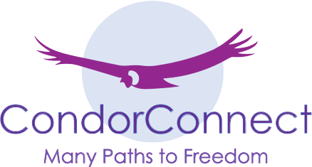 Condor Connect